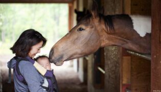 Ein Mutter mit Baby werden von einem Pferd liebevoll beschnuppert.