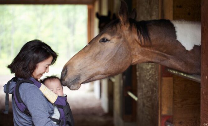 Ein Mutter mit Baby werden von einem Pferd liebevoll beschnuppert.