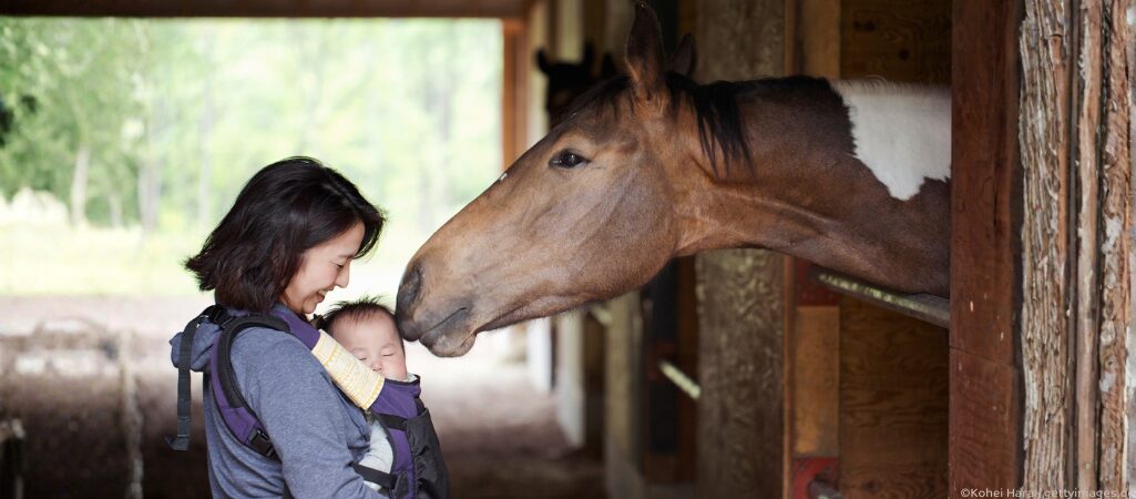 Ein Mutter mit Baby werden von einem Pferd liebevoll beschnuppert.