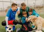 Hund mit Fußball-Familie.