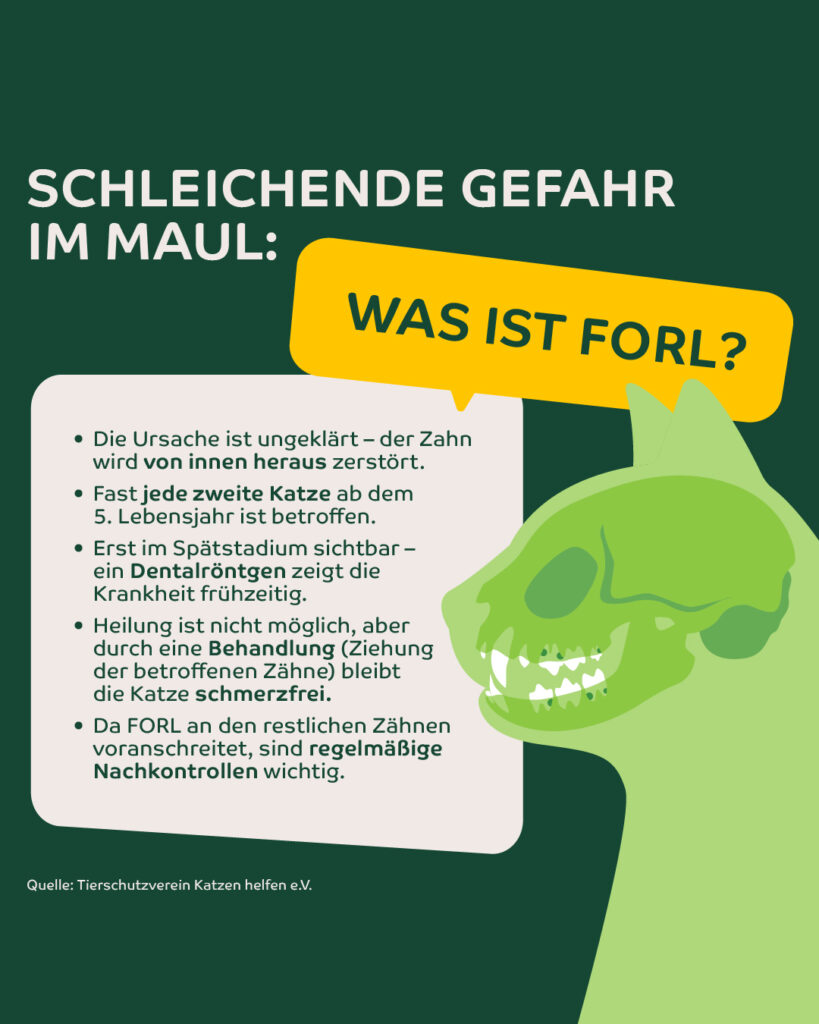 Infografik: FORL
