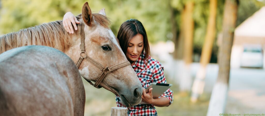 Pferd am Tablet.