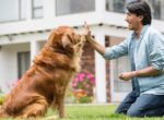 Hundetrainer mit Hund.