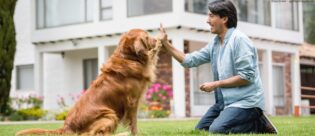 Hundetrainer mit Hund.