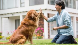 Hundetrainer mit Hund.