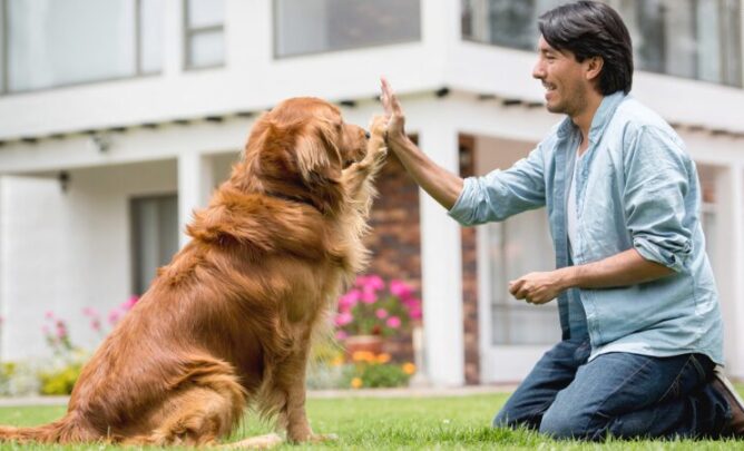 Hundetrainer mit Hund.