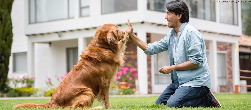 Hundetrainer mit Hund.
