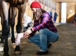 Frau legt Pferd Verband an.