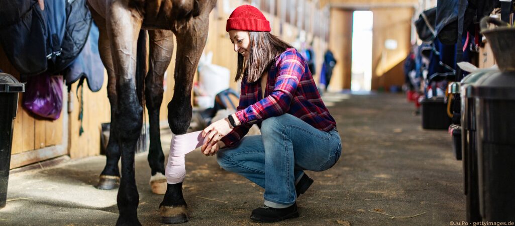 Frau legt Pferd Verband an.